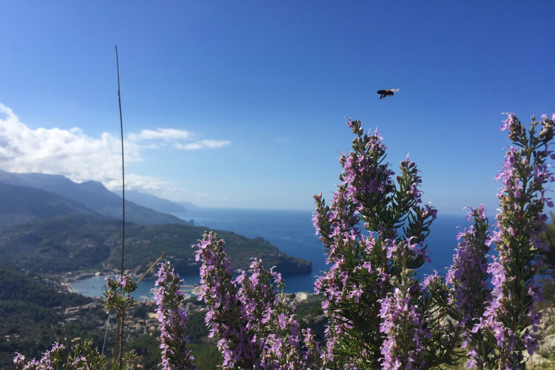 Puig de Bàlitx