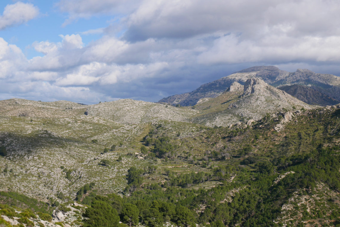 Tramuntana