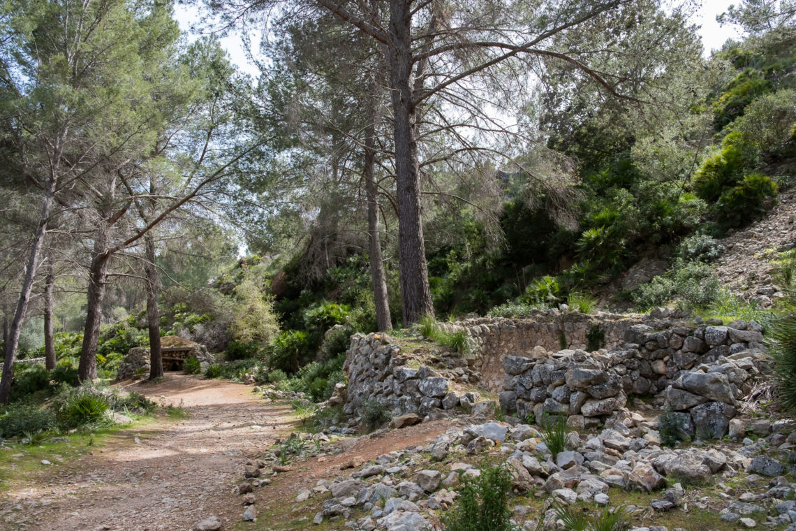 Finca Galatzó