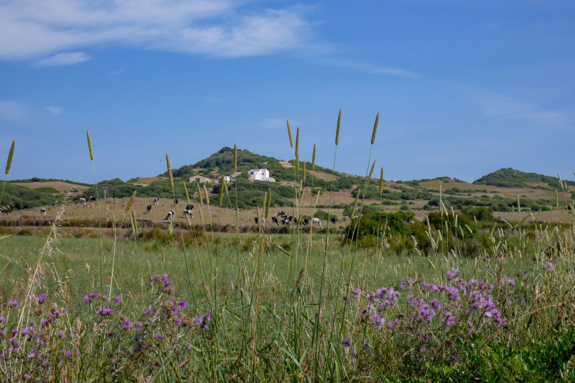 Menorca