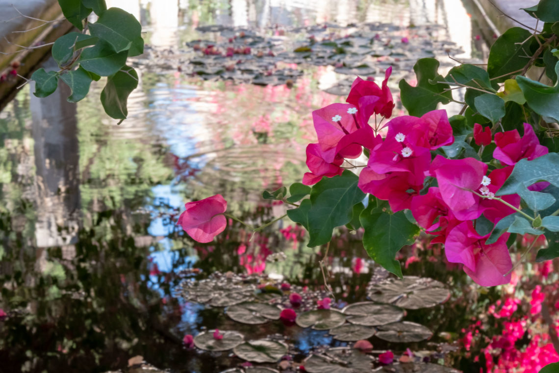 Jardí del Bisbe