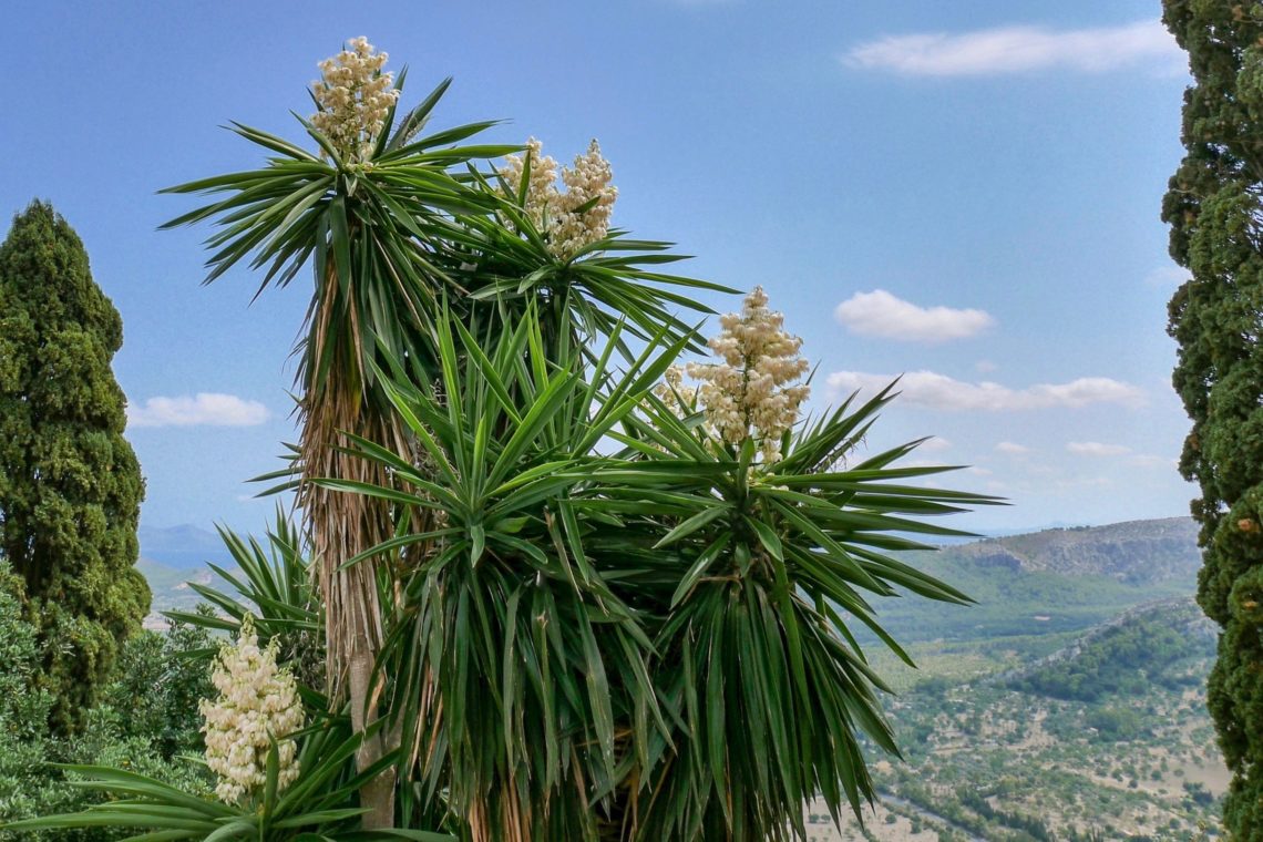 Puig de Maria, Pollença