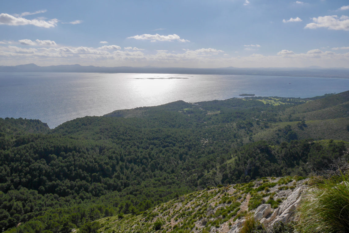 Talaia d'Alcúdia