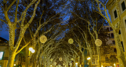 Christmas Palma 2018