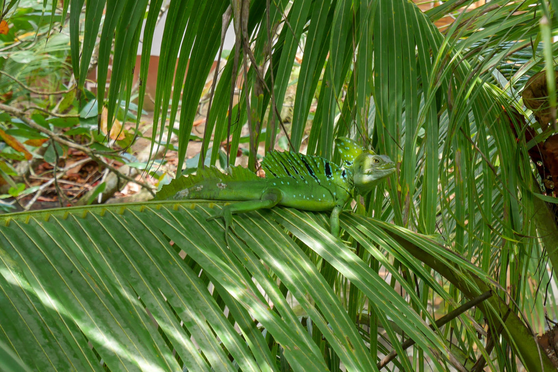 Costa Rica