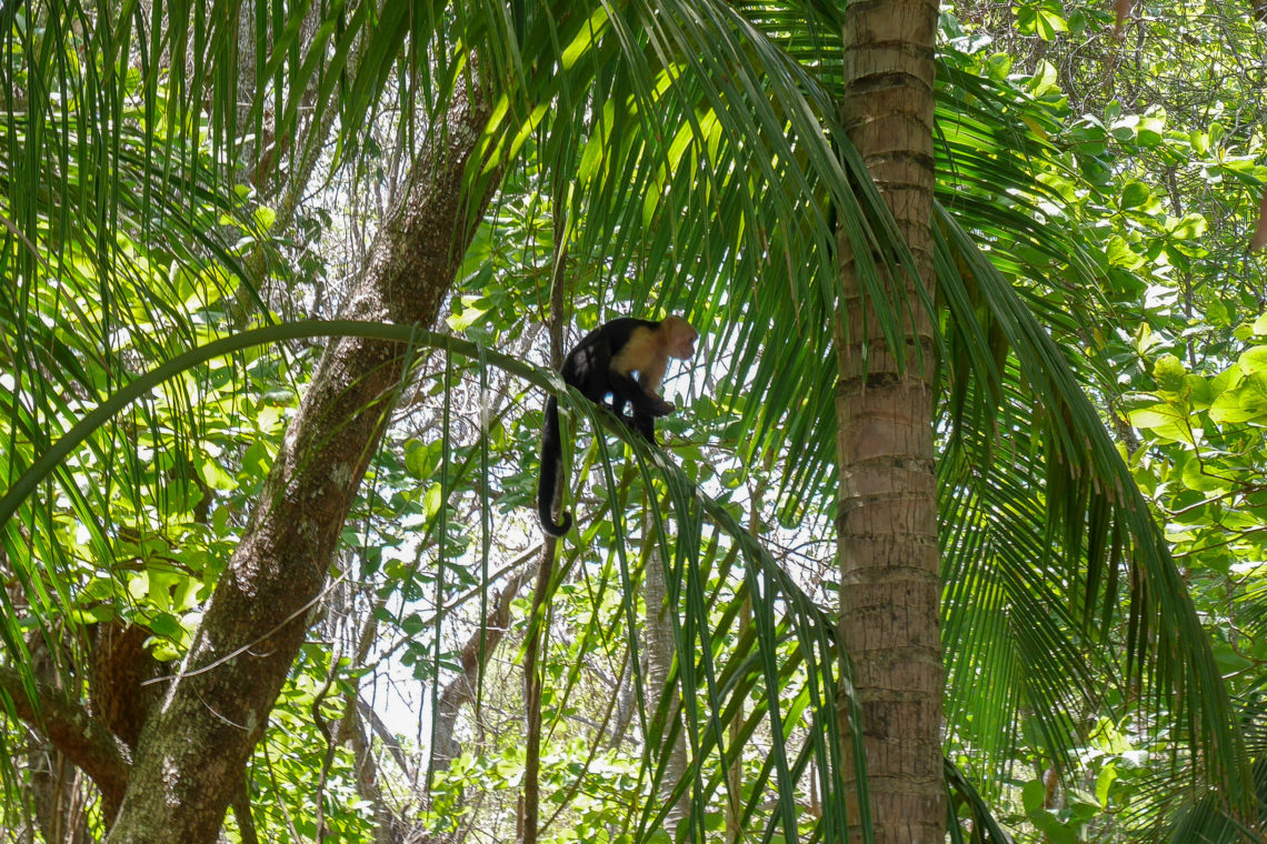 Costa Rica