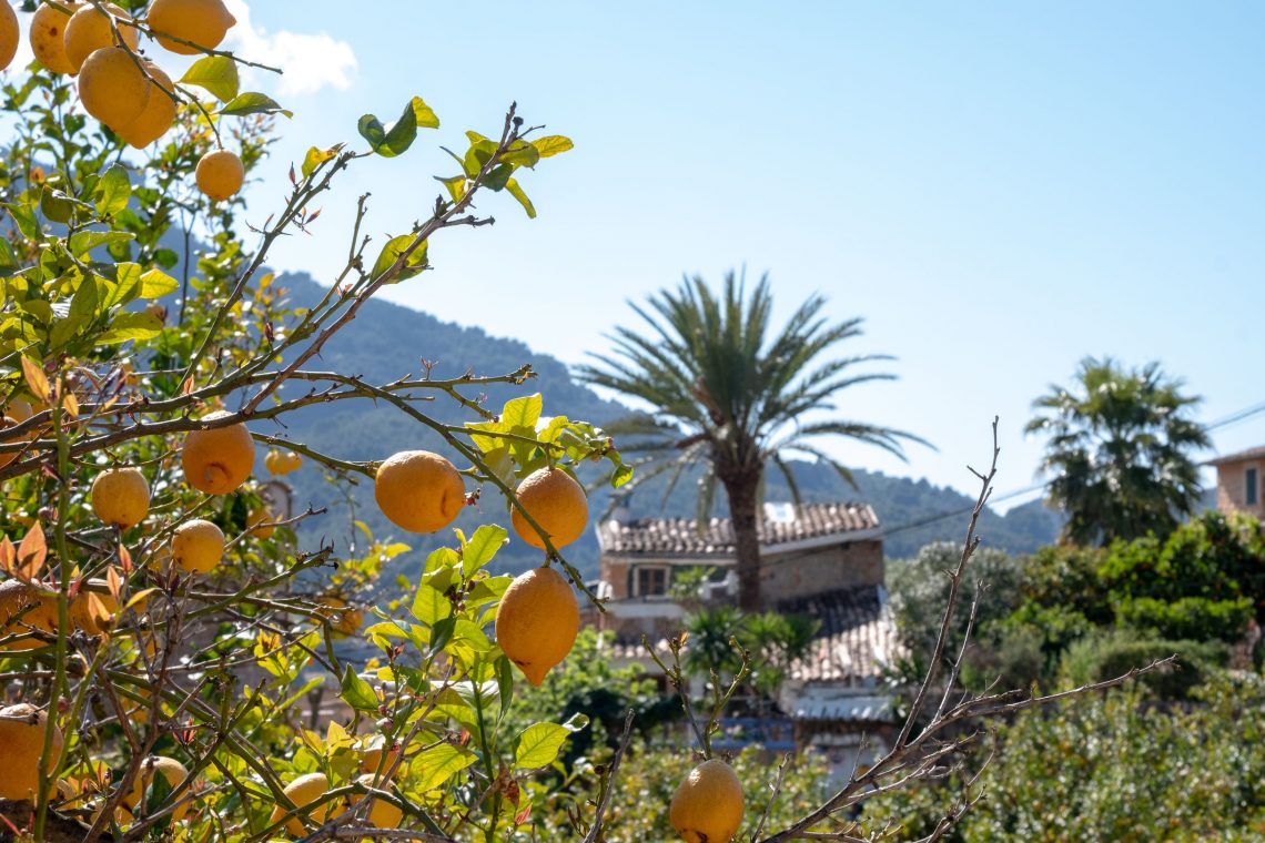 Sóller Easter 2019