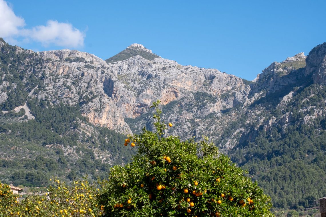 Sóller Easter 2019