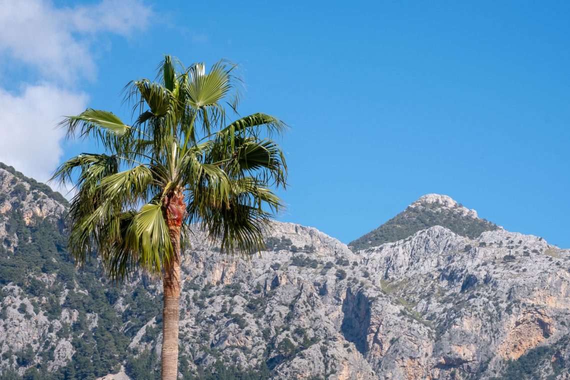 Sóller Easter 2019