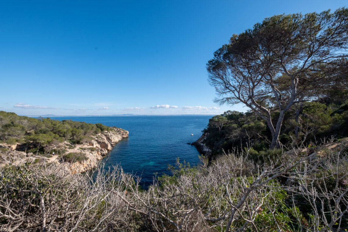 Portals Vells - Cala Figuera