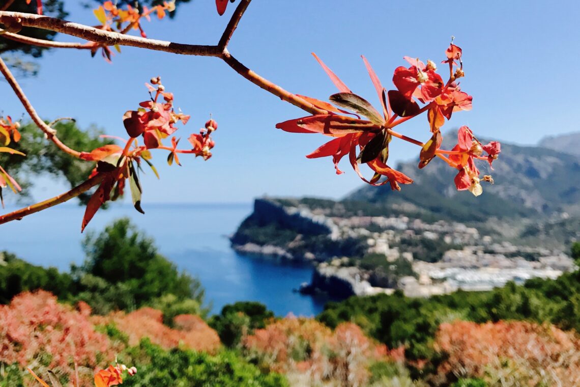 Loop hike from Port de Sóller to Es Far del Cap Gros