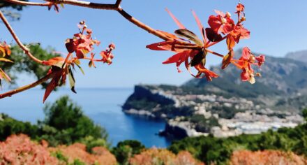 Loop hike from Port de Sóller to Es Far del Cap Gros