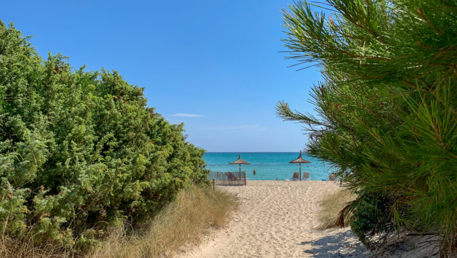 Best Beaches
