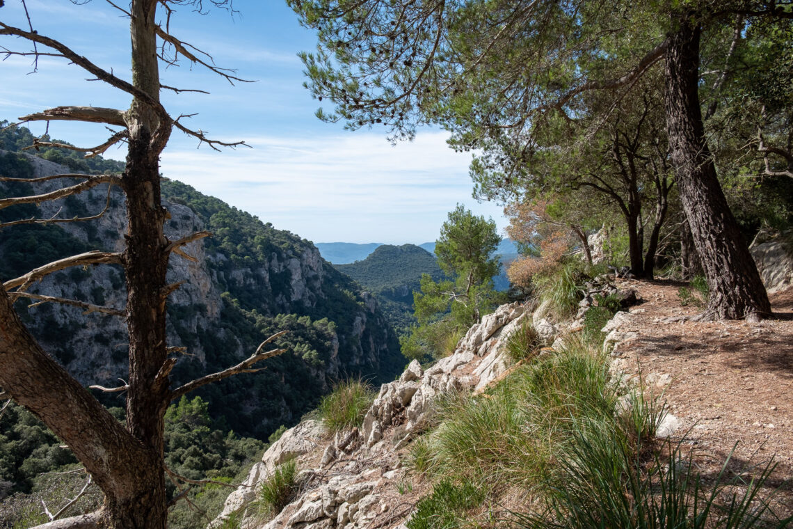 Hiking around Valldemossa