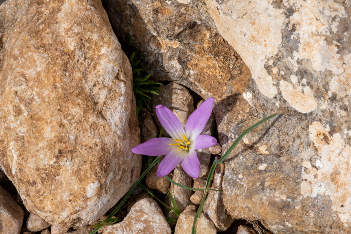 Hiking around Valldemossa