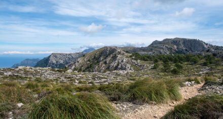 Hiking around Valldemossa