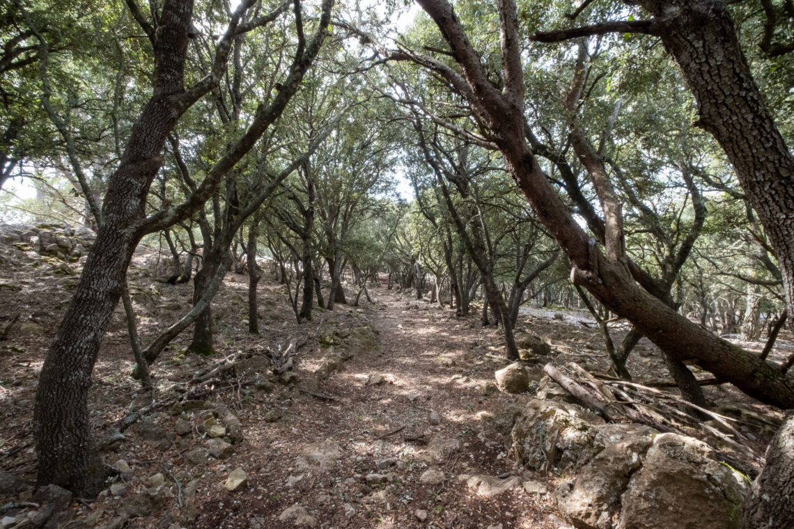 Hiking around Valldemossa