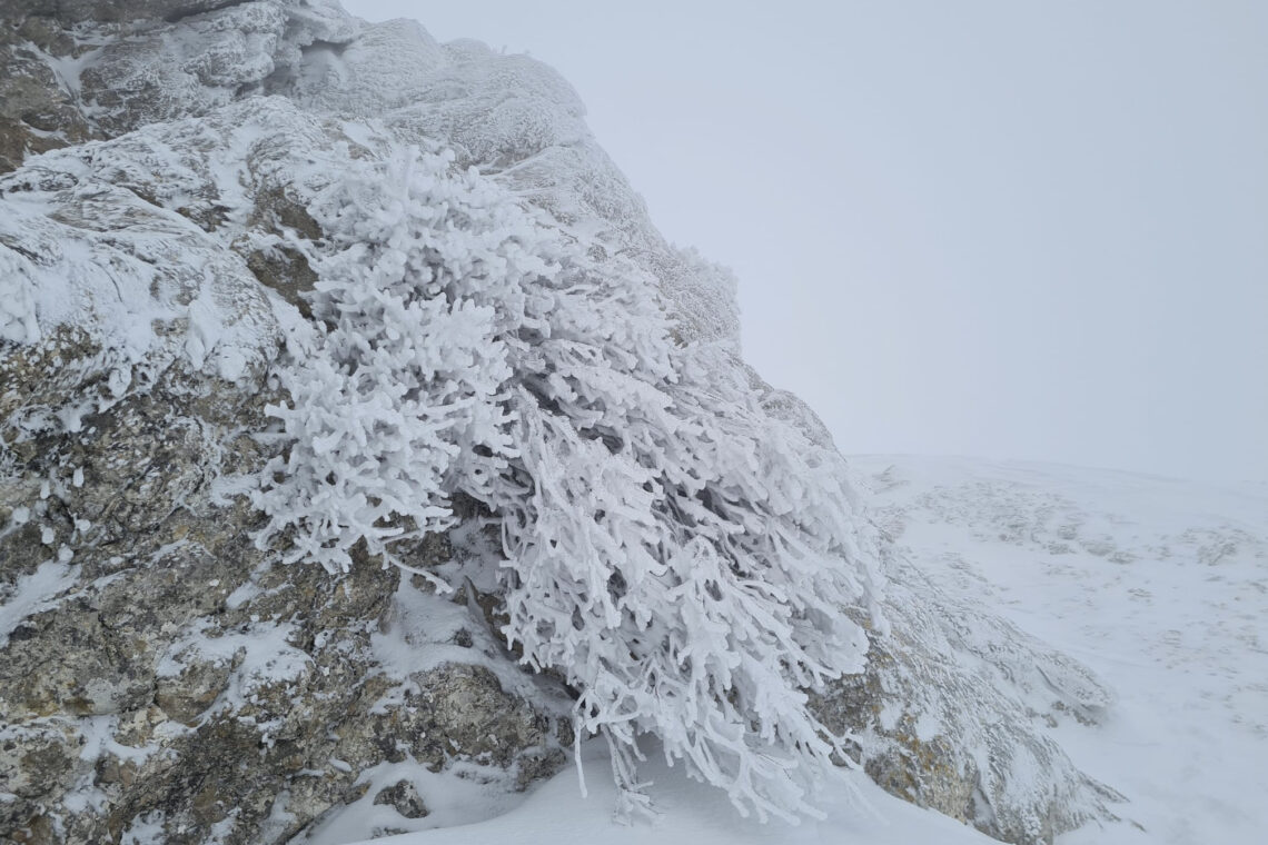 Mallorca winter wonderland