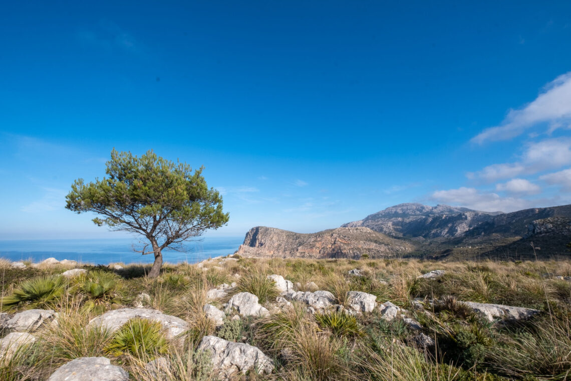 Best of Mallorca Hiking