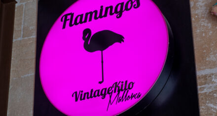 Flamingos