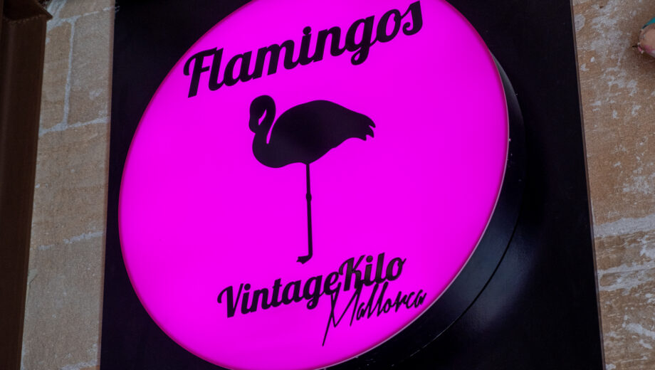 Flamingos