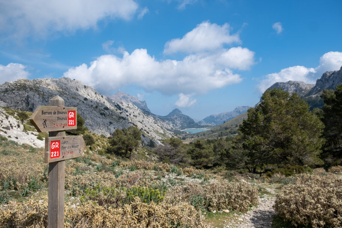 Puig de L'Ofre