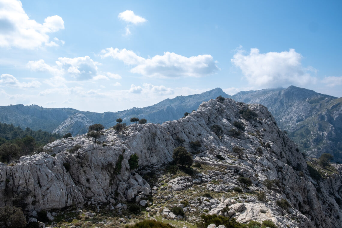 Puig de L'Ofre