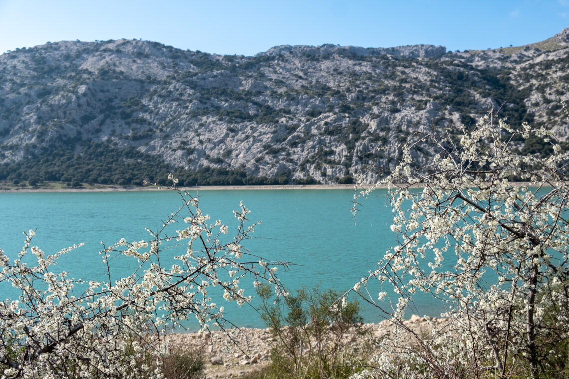 Puig de L'Ofre