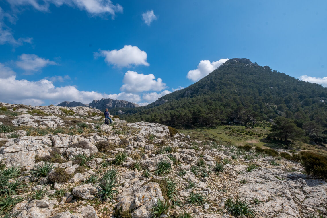 Puig de L'Ofre