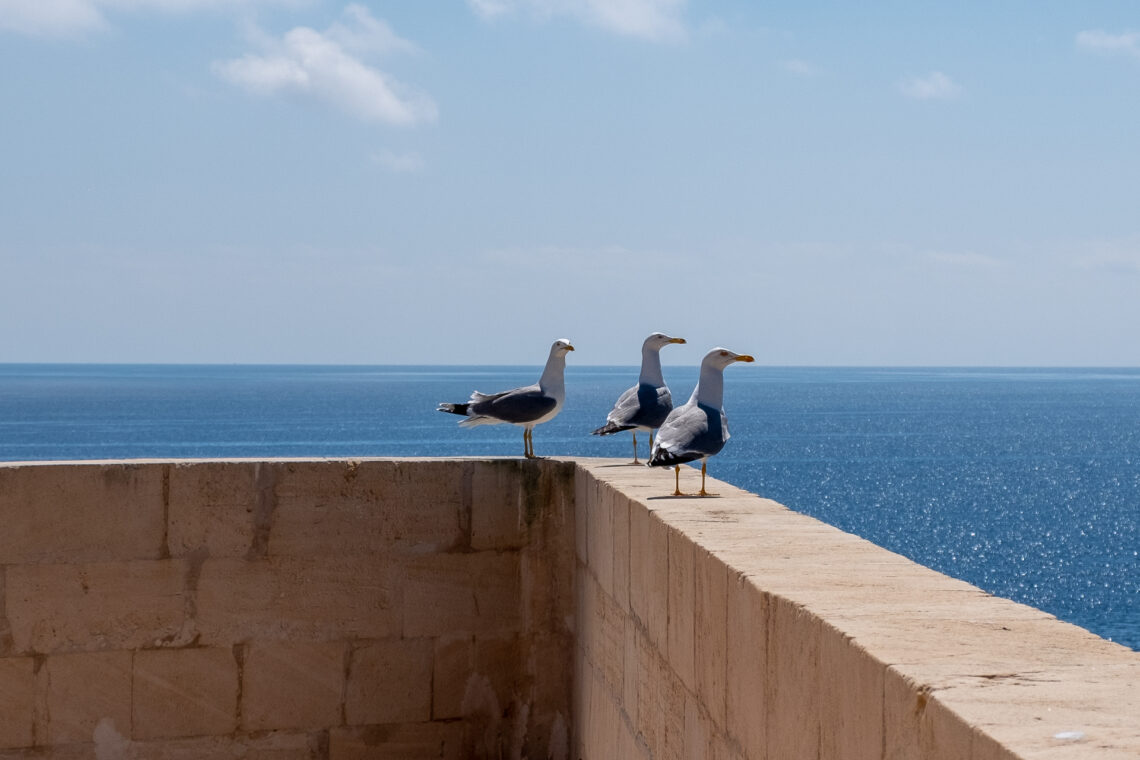 Castillo de San Carlos