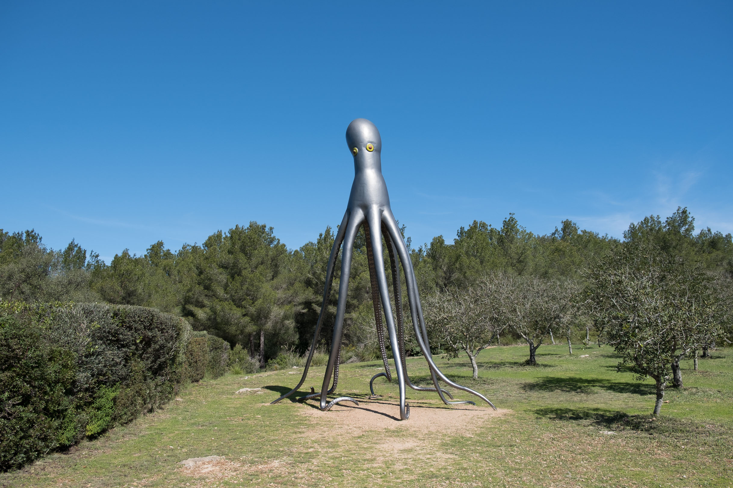 Museo Sa Bassa Blanca, Kraken