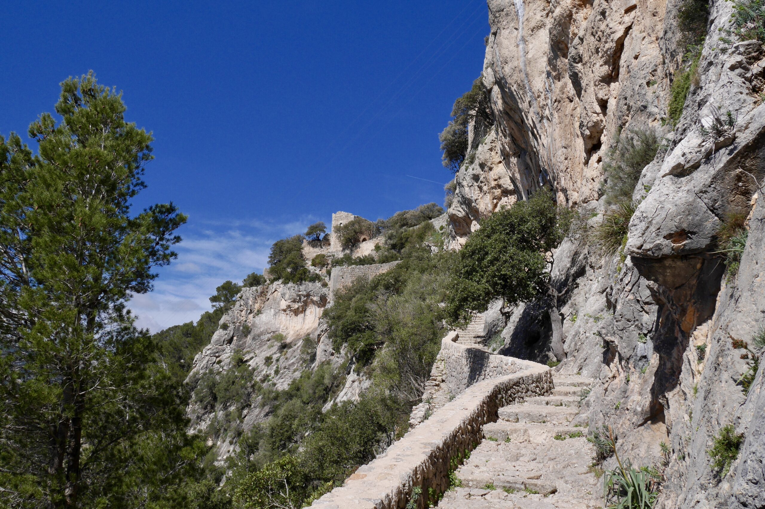 Castell d'Alaró
