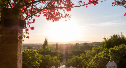 Sunset dining