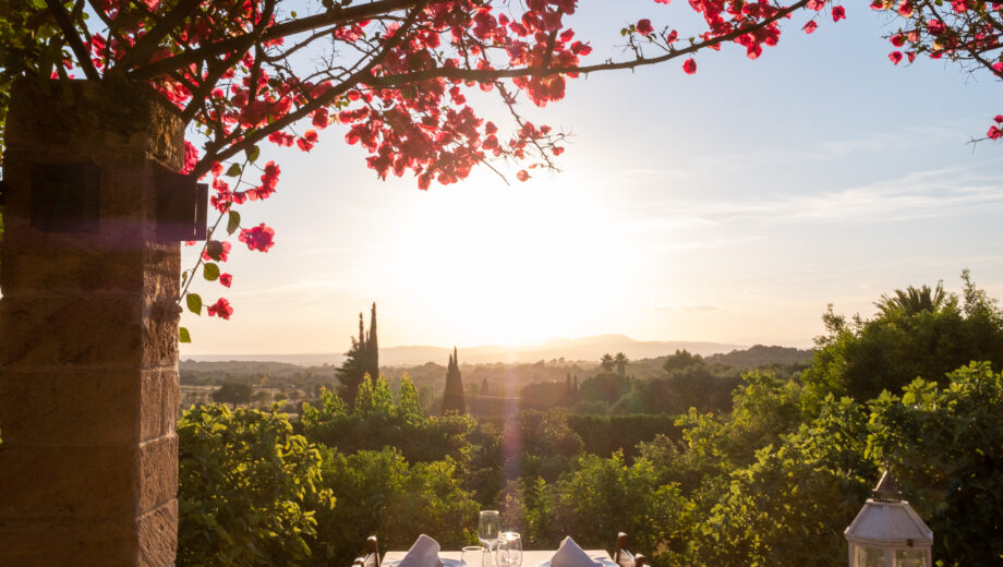 Sunset dining