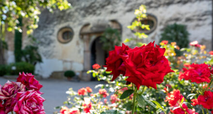 Jardines de Alfabia