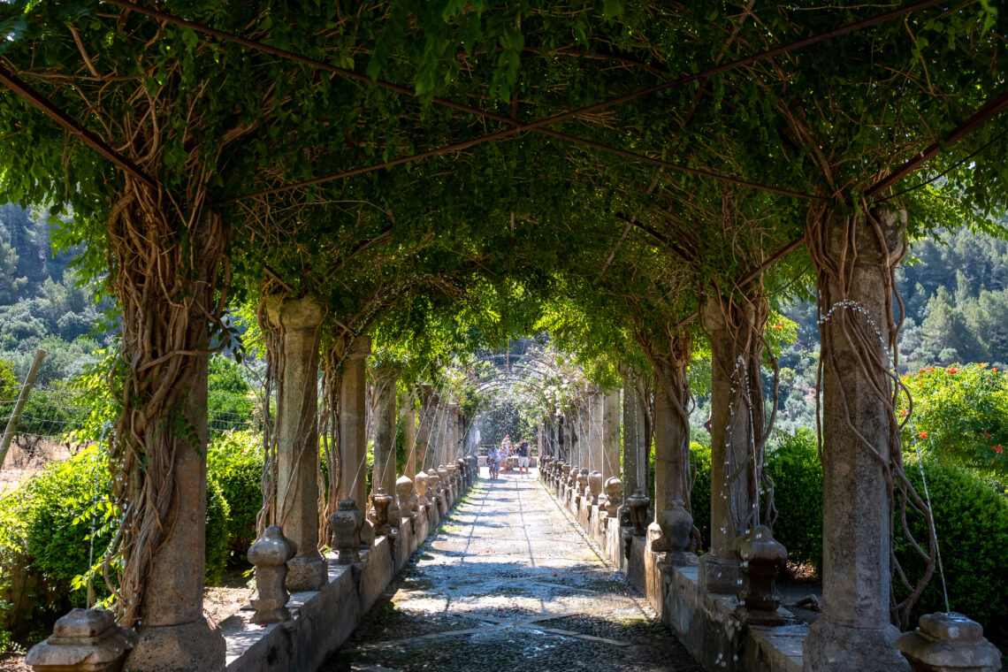 Jardines de Alfabia