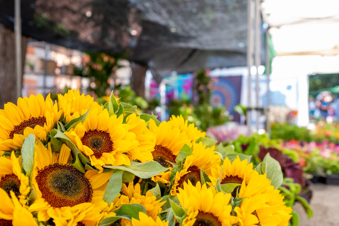 Markets on Mallorca