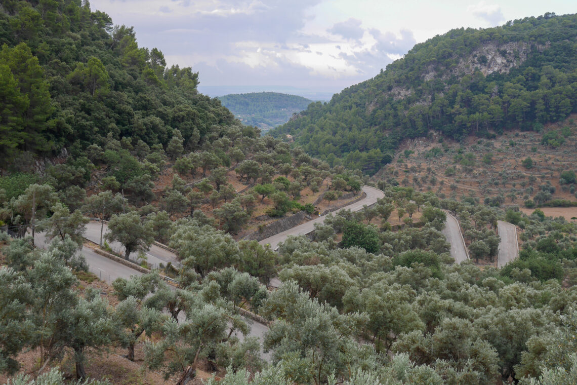 Coll de Sóller