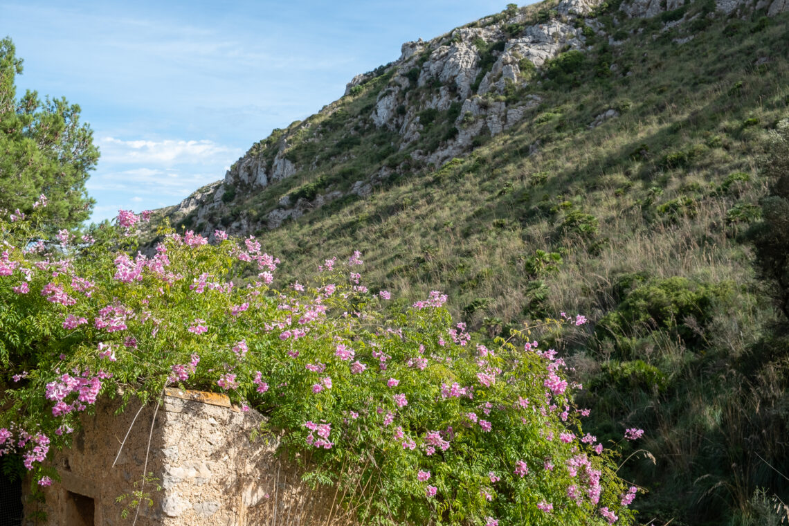 Parc Natural de Llevant