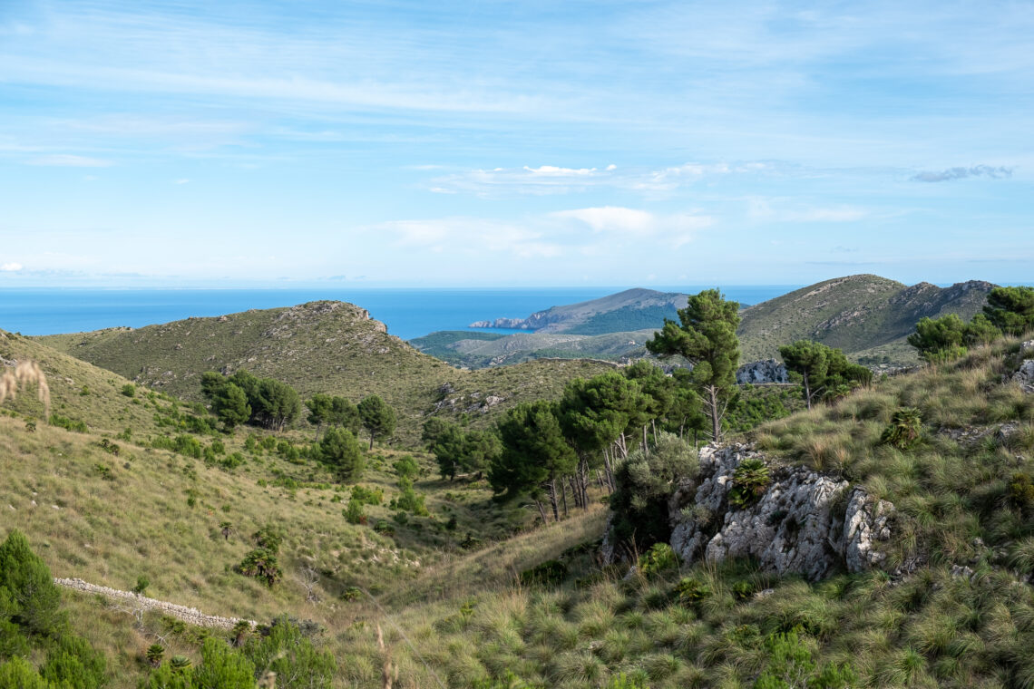 Parc Natural de Llevant