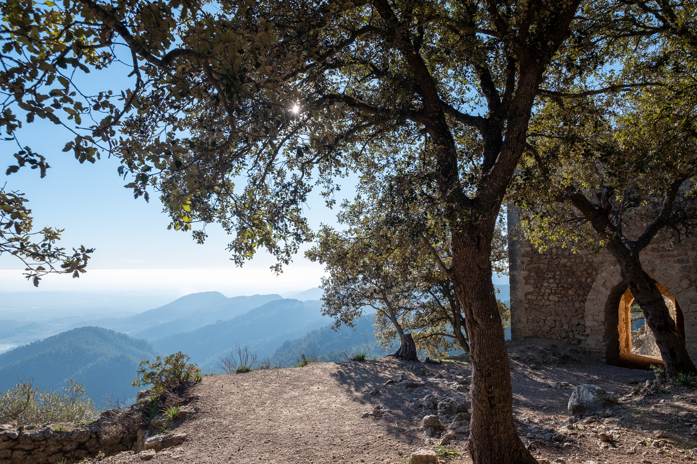 Castell d'Alaró