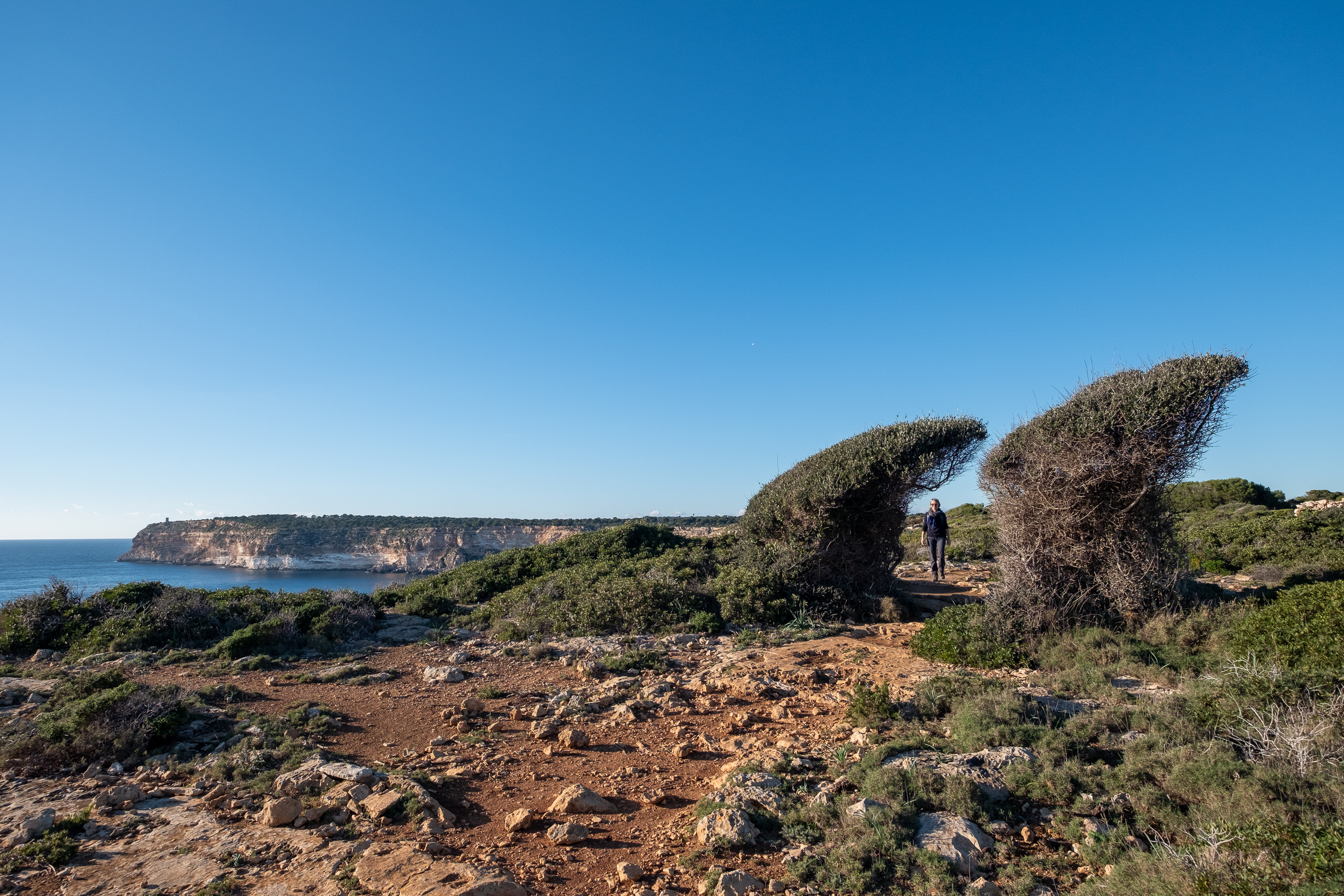 Cala Pi to Cap Blanc