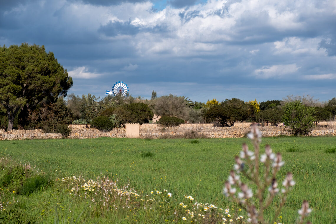 Windmills on Mallorca