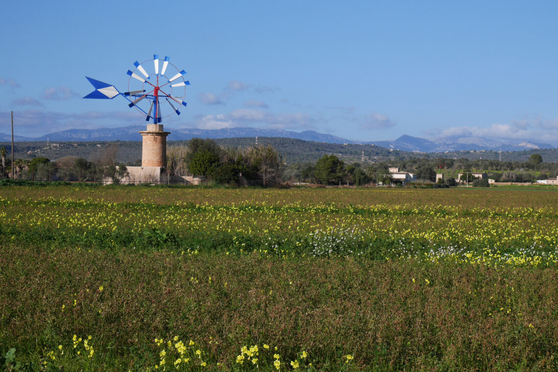 Windmills on Mallorca