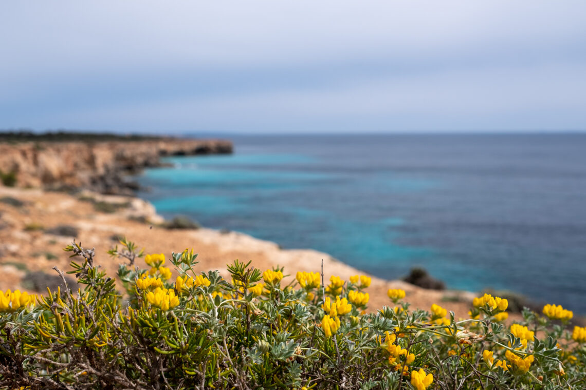 S'Estanyol to Cala Pi