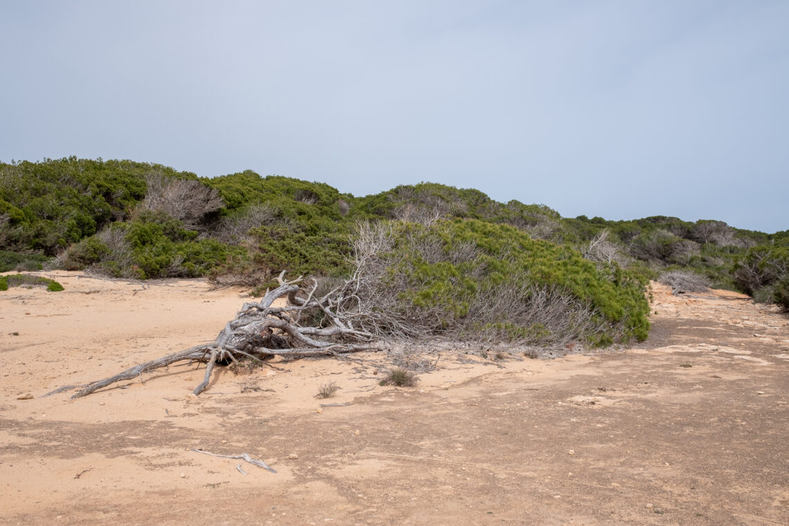 S'Estanyol to Cala Pi