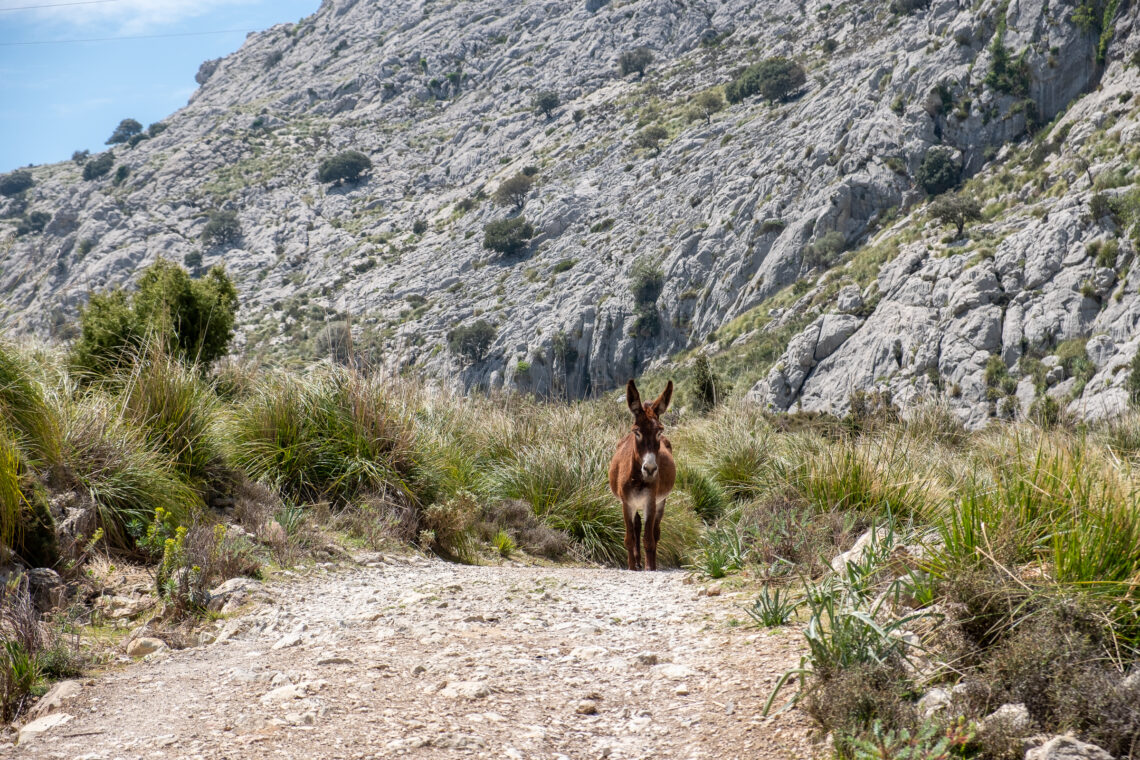 Barranc de Biniaraix