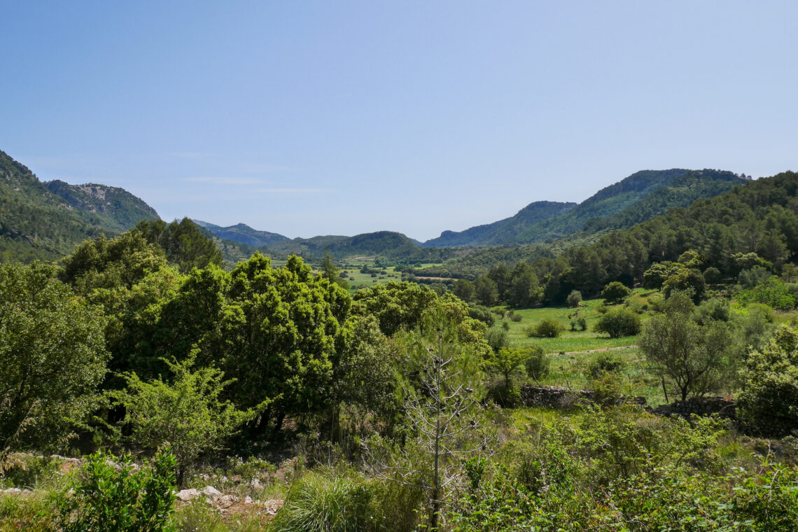 Cycling to Orient