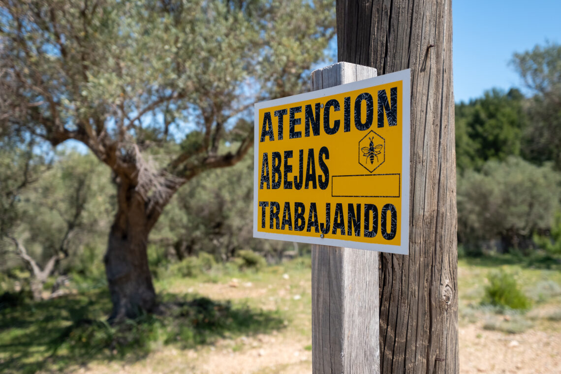 Abejas Trabajando