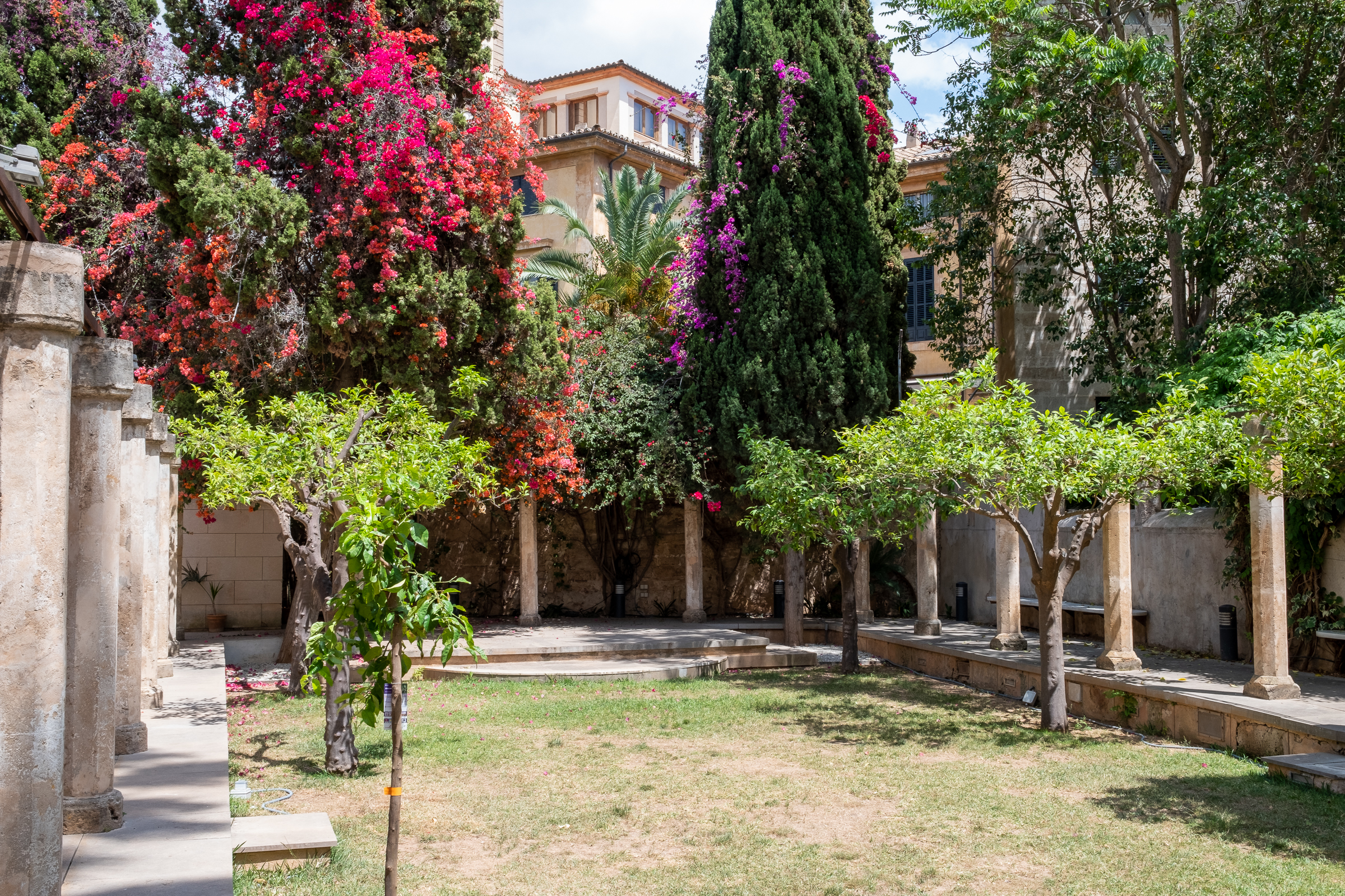 Urban oases in Palma